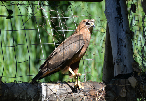 World of Birds Wildlife Sanctuary.